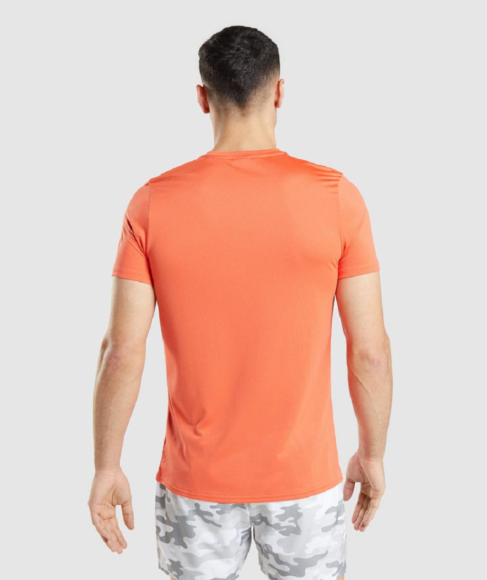 T Shirts Gymshark Arrival Estampadas Hombre Naranjas | CO 3345VRW